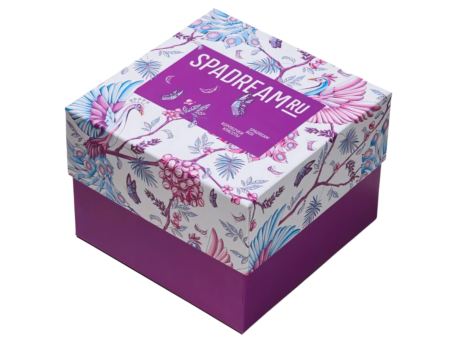 Spadream Gift Box