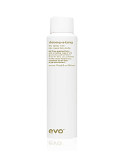 Evo Shebang-a-Bang Dry Spray Wax 200ml Outlet - интернет-магазин профессиональной косметики Spadream, изображение 71791