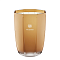 Dr. Vranjes Firenze Aromatic Candle Oud Nobile Gold 3000g Outlet - интернет-магазин профессиональной косметики Spadream, изображение 71823