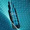 Allies of Skin Multi Peptides & GF Advanced Lifting Serum 50ml - интернет-магазин профессиональной косметики Spadream, изображение 65331