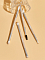 Sheglam Glam 101 Eye Essentials Brush Set With Bag - интернет-магазин профессиональной косметики Spadream, изображение 67206