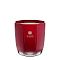 Dr. Vranjes Firenze Aromatic Candle Rosso Nobile Red Tourmaline 500g - интернет-магазин профессиональной косметики Spadream, изображение 65939