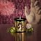 CORETERNO The Intuition - Mystical Wood Scented Candle 240g - интернет-магазин профессиональной косметики Spadream, изображение 43758