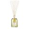 Dr. Vranjes Firenze Home Diffuser Ginger Lime 500ml - интернет-магазин профессиональной косметики Spadream, изображение 65705