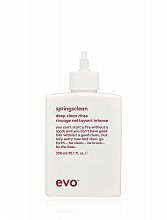 Evo Springsclean Deep Clean Rinse 300ml - интернет-магазин профессиональной косметики Spadream, изображение 36708