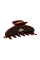 Alo 90's Claw Clip Brown Tortoise - интернет-магазин профессиональной косметики Spadream, изображение 64608