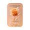 BABOR Amp Art Promo 26 Vitamin Glow 7x2ml - интернет-магазин профессиональной косметики Spadream, изображение 72670