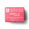 Erborian Camellia for Lips 7ml - интернет-магазин профессиональной косметики Spadream, изображение 35885
