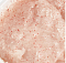 Davines SOLU Sea Salt Scrub 75ml - интернет-магазин профессиональной косметики Spadream, изображение 53375