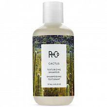 R+Co Cactus Texturizing Shampoo 177ml - интернет-магазин профессиональной косметики Spadream, изображение 30544