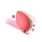 beautyblender beauty.blusher cheeky - интернет-магазин профессиональной косметики Spadream, изображение 40716