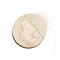 Chanel Les Symboles La Comète Oversize Illuminating Powder Pearly White 14g - интернет-магазин профессиональной косметики Spadream, изображение 64627