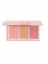 Sheglam Sweet Cheeks Blush Trio Enamored 18g - интернет-магазин профессиональной косметики Spadream, изображение 61634