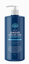 Evas Char Char Argan Oil Ginger Cooling Care Shampoo 1000ml - интернет-магазин профессиональной косметики Spadream, изображение 42048