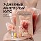 BABOR Amp Art Promo 26 Nutri Calming 7x2ml - интернет-магазин профессиональной косметики Spadream, изображение 72657