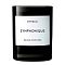 Byredo Symphonique Fragranced Candle 240g - интернет-магазин профессиональной косметики Spadream, изображение 55427