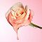 Glow Recipe Watermelon Glow Niacinamide Hue Drops Rosy Glow Serum 40ml - интернет-магазин профессиональной косметики Spadream, изображение 66840