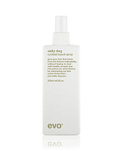 Evo Salty Dog Cocktail Beach Spray 200ml Outlet	 - интернет-магазин профессиональной косметики Spadream, изображение 71784