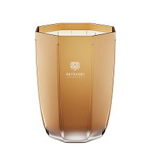 Dr. Vranjes Firenze Aromatic Candle Oud Nobile Gold 3000g - интернет-магазин профессиональной косметики Spadream, изображение 65865