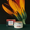 Comfort Zone Stand For Regeneration Hair & Body Butter Calendula Extract 100ml - интернет-магазин профессиональной косметики Spadream, изображение 64454